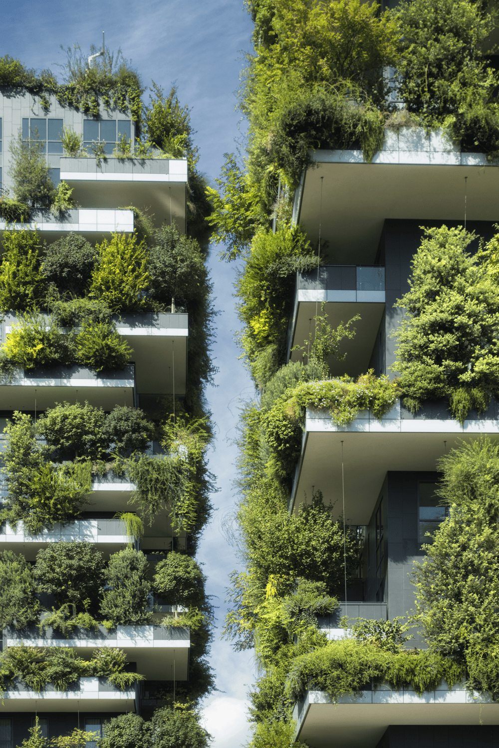 immobilier-végétalisé-bosco-verticale